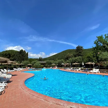 Daino-13 By Interhome Apartment Riparbella